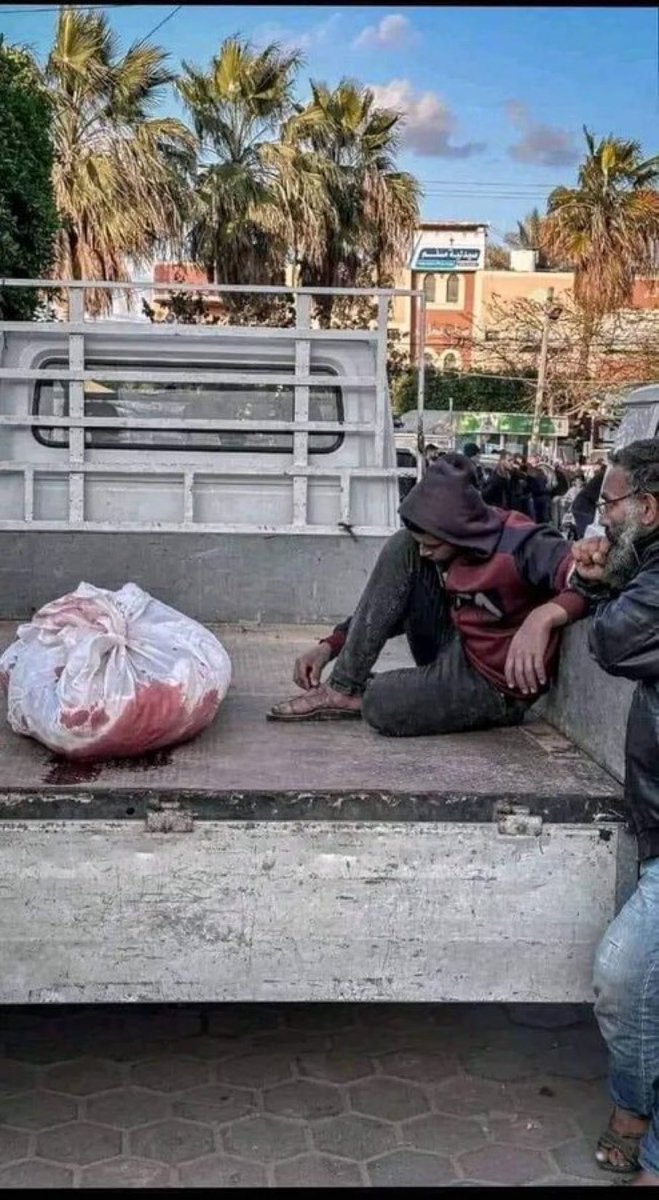 Bir filmde olsaydı bu sahne; +18 diye uyarı gelirdi!
+18 daha fazla parçaya böldüler çocuklarımızı! Nerede uyarı? Nerede insanlık? Taş olsa çatlardı!
#getoutofrafah #Rafah