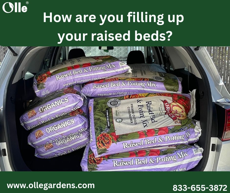 Hello Olle Family! What do you use to fill up your raised beds? Please share with us.

#ollegardens #ollegardenlife #plant4fun #fillingyourraisedbed #raisedbeds  #GardenTips #UrbanGardening #OrganicGardening #GardenCommunity
