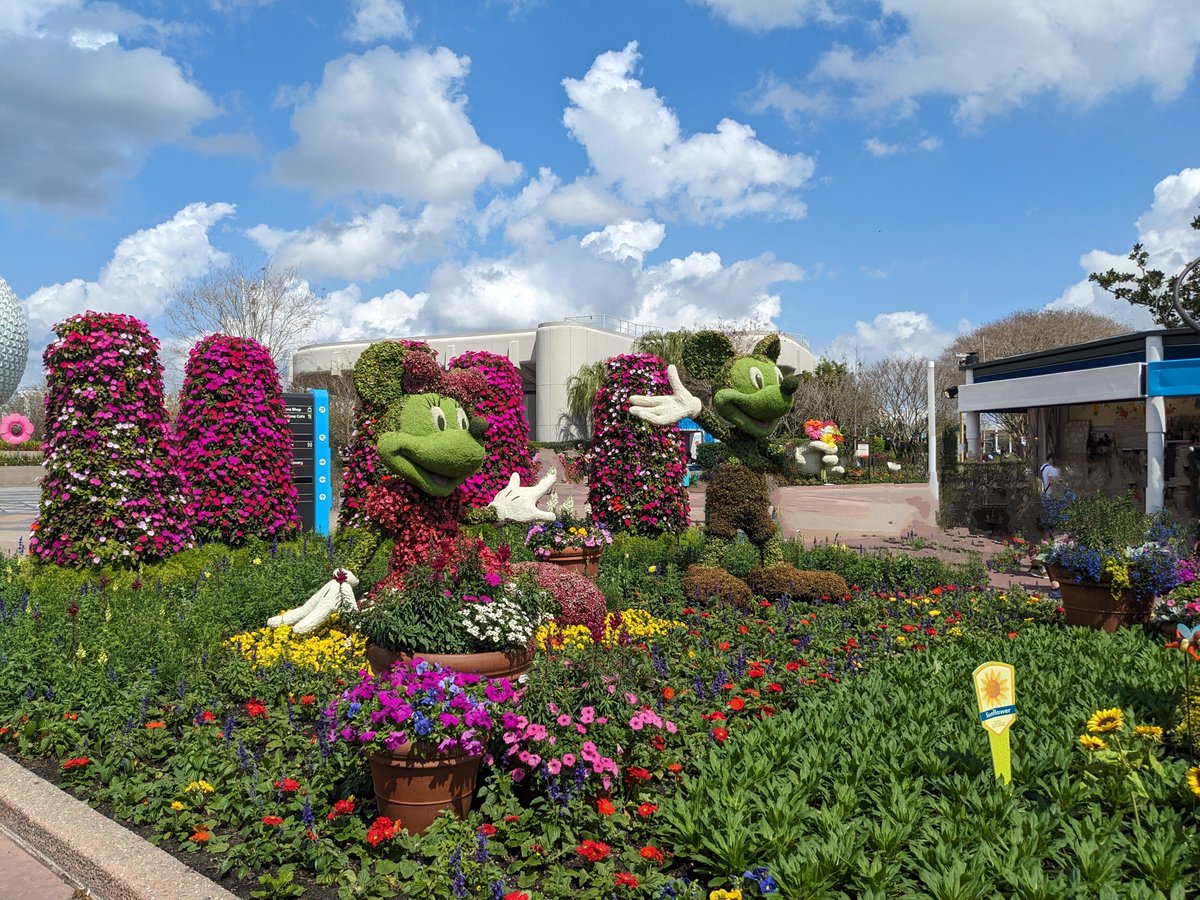 Just another gorgeous spring afternoon at Epcot! 

#WaltDisneyWorld #EPCOT #FlowerAndGardenFestival #MickeyMouse #MinnieMouse #Disney #DisneyParks #DisneyWorld #DisneyVacation