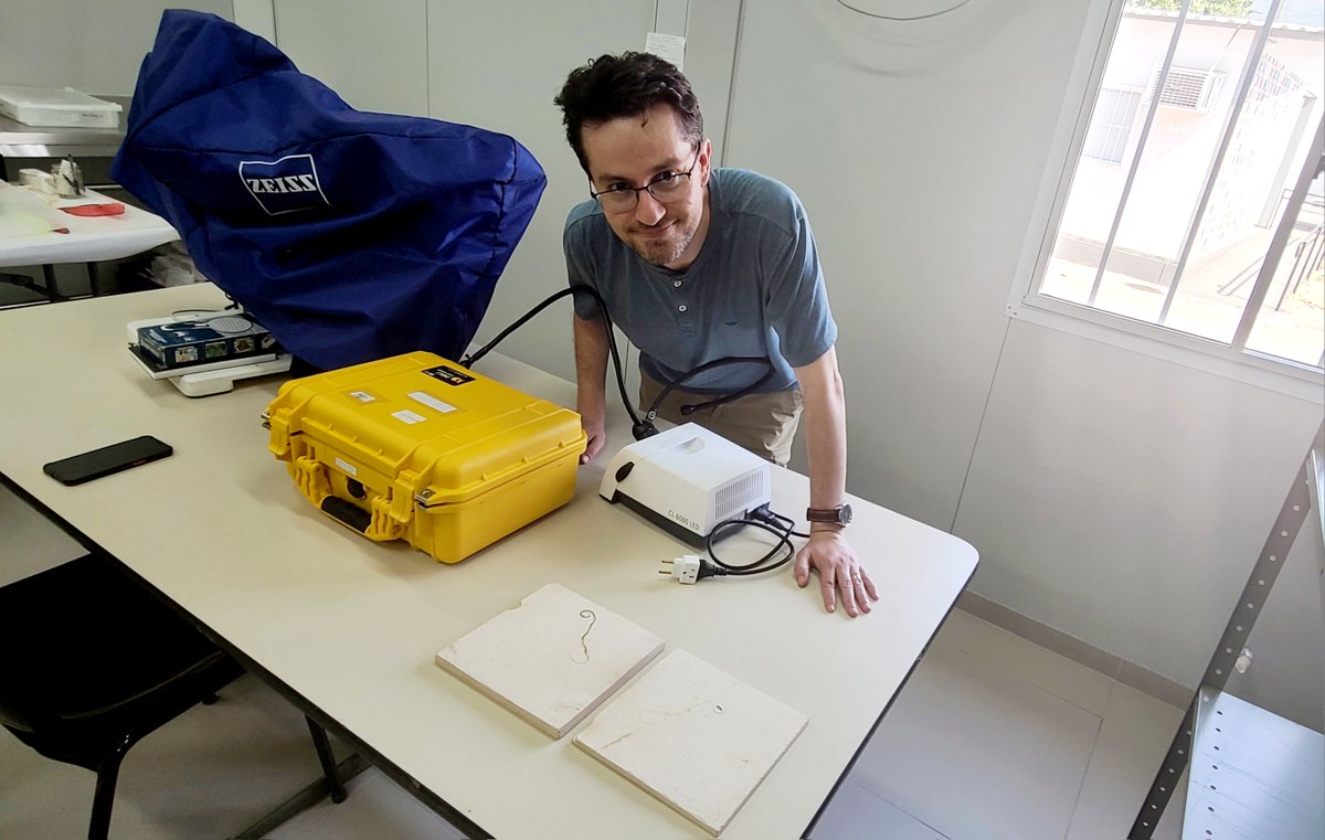 Over 1,000 Brazilian fossils repatriated to the @MuseuNacional ! That includes amazingly preserved specimen and one highly controversial holotype: #Tetrapodphis amplectus, which I had the pleasure of witnessing in Brazilian soil earlier this year:
theguardian.com/world/article/… [1/3]