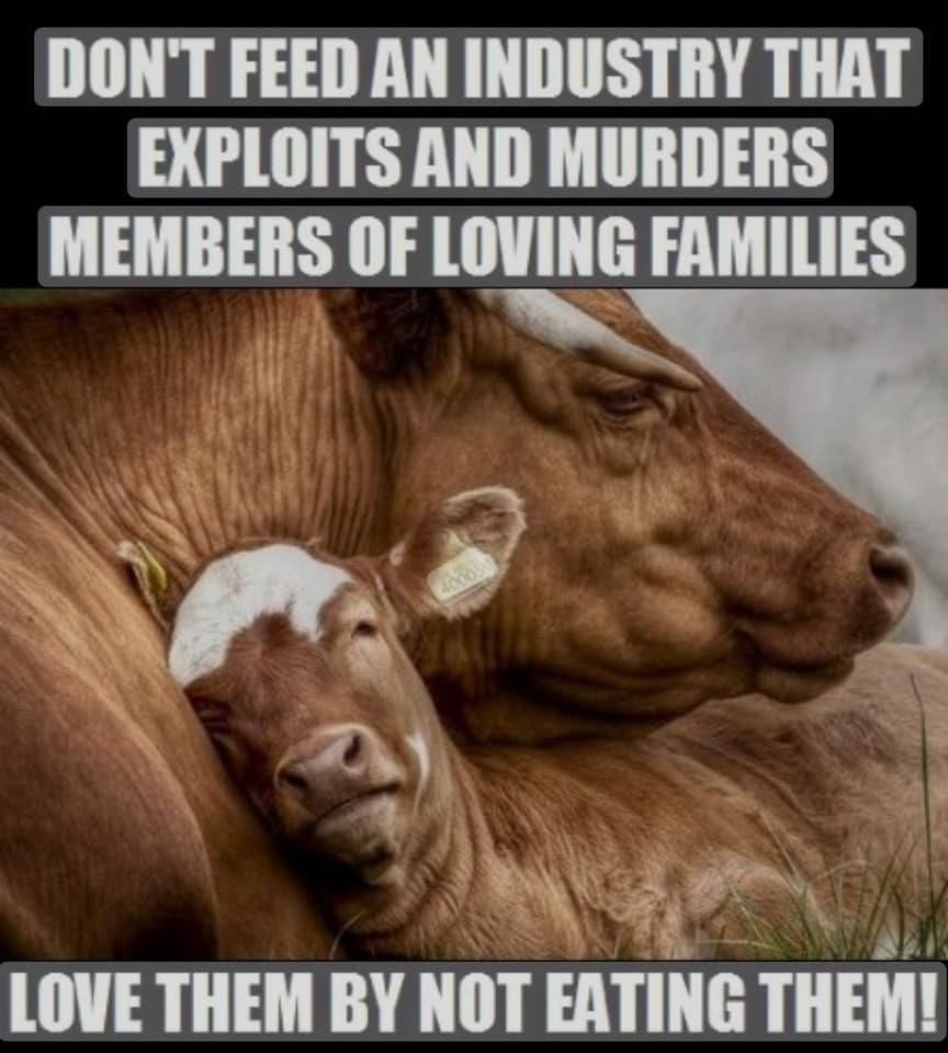 hdtioJWV9FT38Jo's tweet image. Don’t kid yourself thinking that #farmers love their #animals. If they did, they wouldn’t raise them for slaughter. Besides wanting to make an attention getting video, they’re protecting they're profits. #StopSupporting the #DairyAndMeatIndustry #ShameOnAll involed.