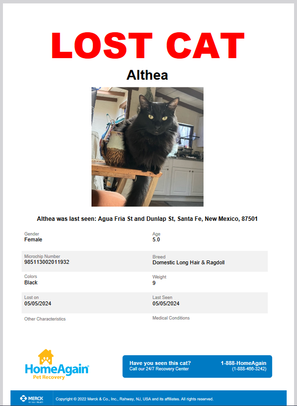 Beautiful female black cat is lost in Santa Fe.  Please be on the lookout for her.
#SantaFe #lostcats #lostcat #missingcat #NewMexico #CatsOfTwitter #CatsLover