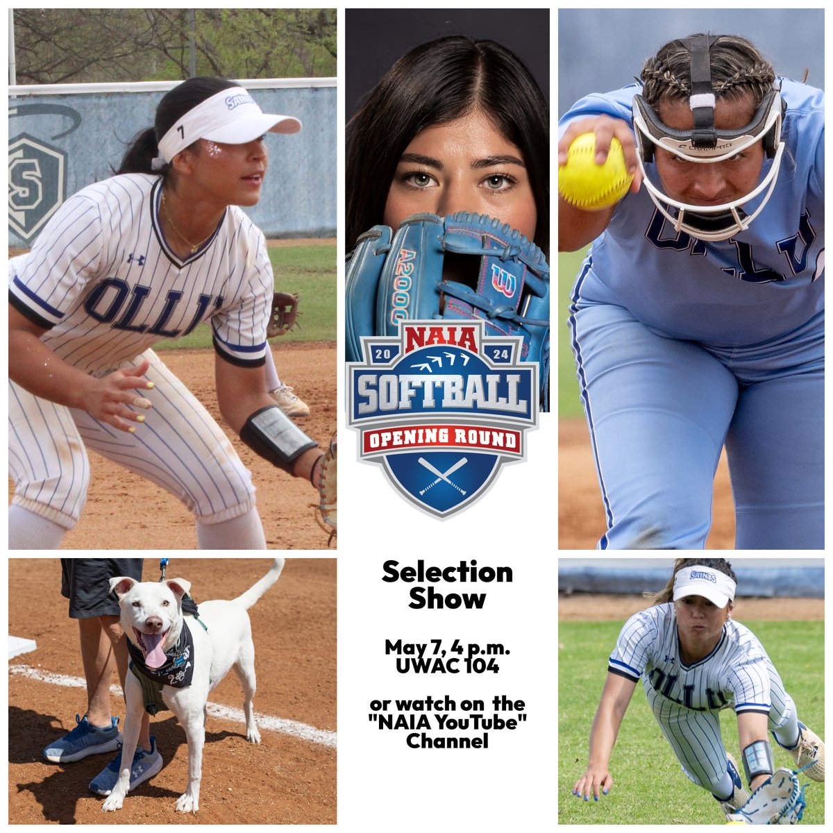 We will host a watch party today in UWAC 104 for the release of the 2024 #NAIASBWorldSeries field as opening round games get underway on 5/13. We will make a special announcement for Track&Field/Softball at 3:30, then we will follow with the show. #WingsUpSaints
