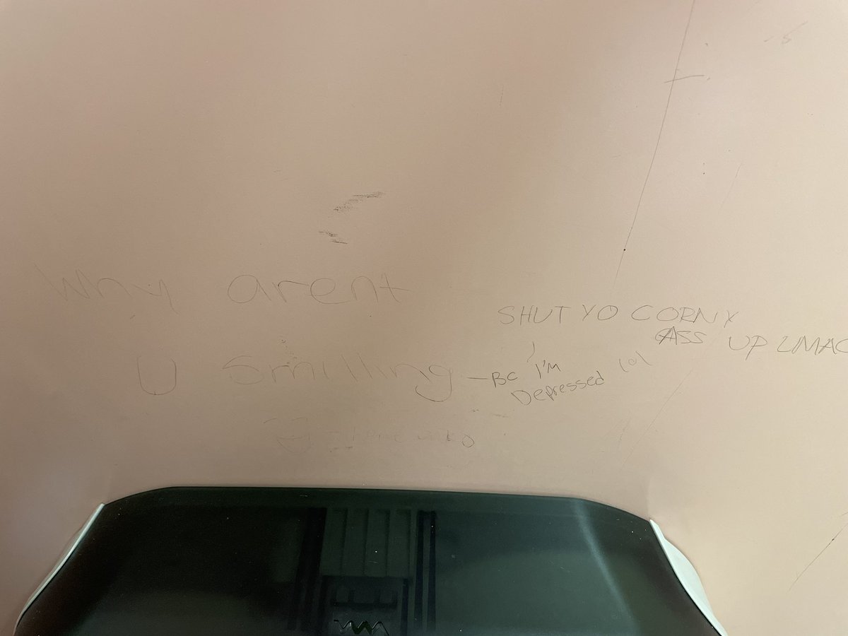 i fucking love bathroom graffiti (alt text in case u can't read it completely)