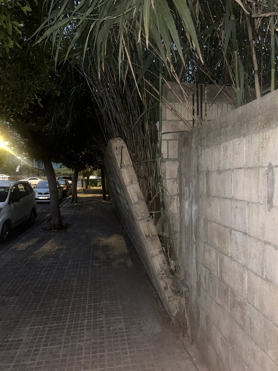 People: tawle belik
Me: