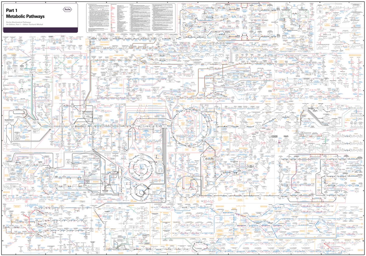 This is the chart of metabolic processes happening inside a cell. What’s remarkable is that we have figured out almost all of the parts, inputs & outputs of these processes, but we still don't understand or can’t simulate how it all integrates and works together to create life.