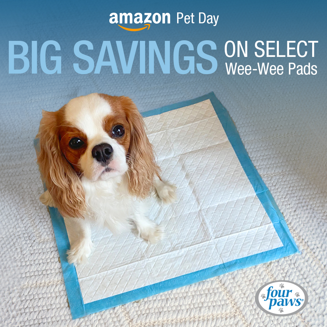 Don't miss out on these Amazon Pet Day deals! 💙 Save on select Wee-Wee Pads only on @Amazon.

#FourPawsProducts #savebig #amazonpetday #ilovedogs #ilovepets #furbaby