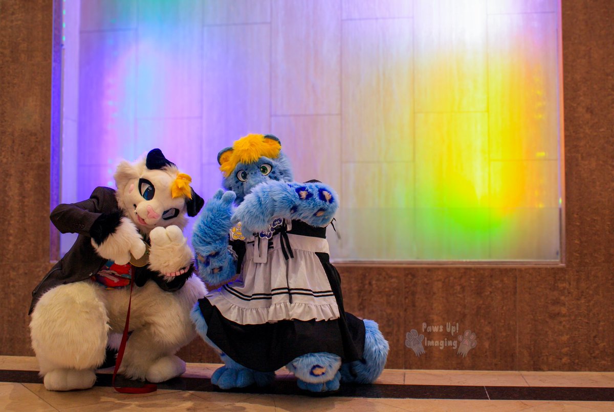ThePaintedFox❄️🦊🔜FE '25 (@thepaintedfoxxo) on Twitter photo Had a blast at the very first <a href="/RoyalCityFurs/">RoyalCityFurries</a> ! I'm definitely going to make it out to future events!! Had such a beatific Waterfall feature, I couldn't resist capturing some memories here! Had a blast at the very first <a href="/RoyalCityFurs/">RoyalCityFurries</a> ! I'm definitely going to make it out to future events!! Had such a beatific Waterfall feature, I couldn't resist capturing some memories here!