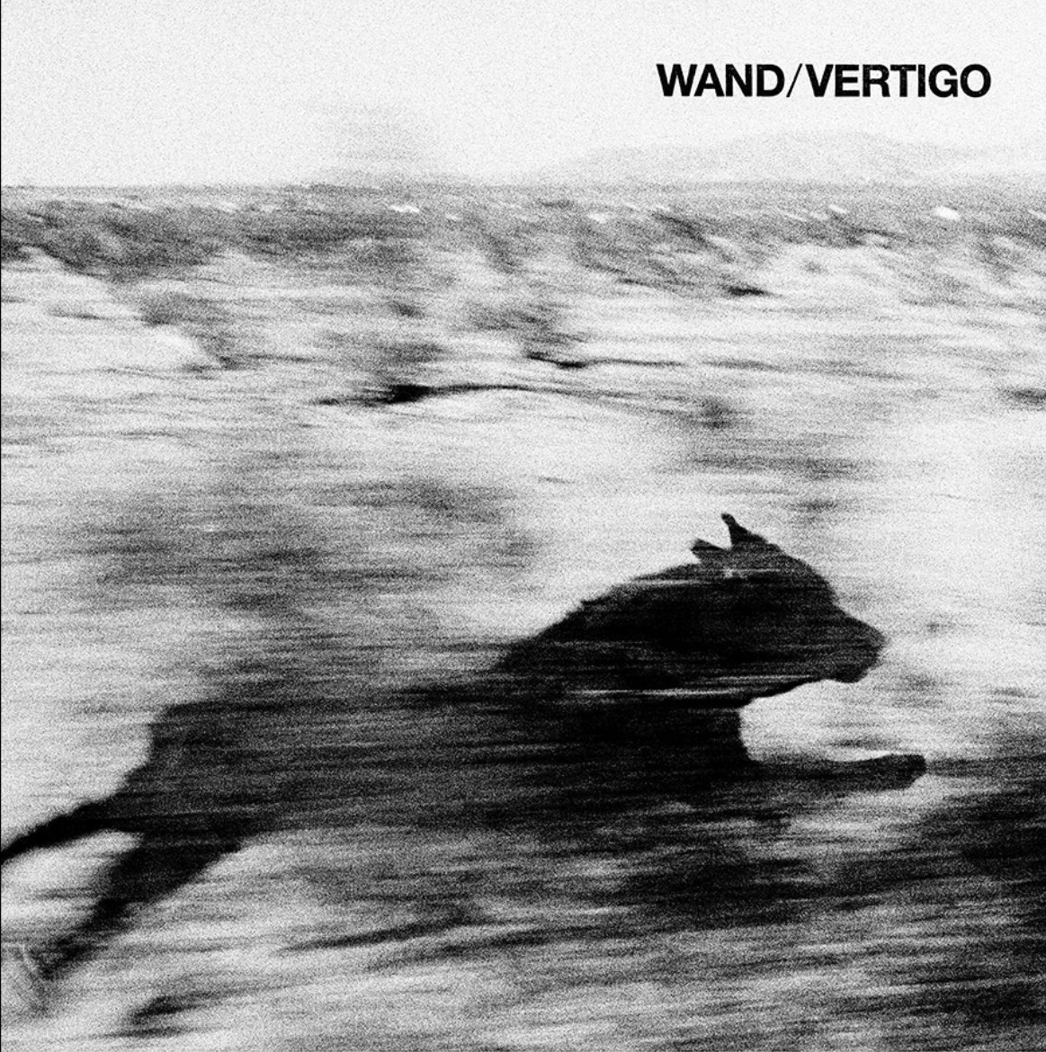 Wand LP 6 “Vertigo” is out July 26th on @dragcityrecords. Listen to the first single “Smile” below, and watch the video by Connor Clarke. You can listen and pre-order the record here 👇 wand.lnk.to/smile