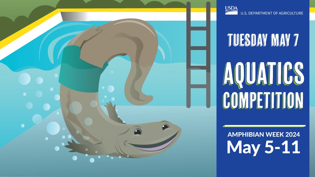 It's time to make a splash at the Amphibian Athlete Aquatics Competition! From synchronized swimming to underwater races, our slimy superstars are making a splash like never before: bit.ly/3VZgYSZ