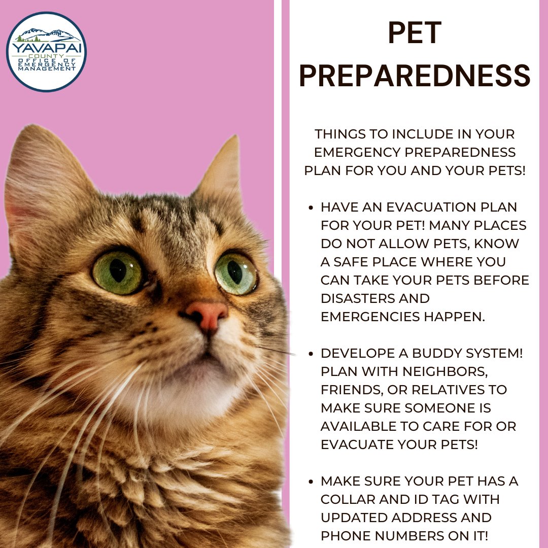 Do you have an emergency plan for your pet? Get started by going to YavapaiReady.gov/animals

#Pets #EmergencyManagement #PetPreparedness #YavapaiCounty #Animals #Sheltering #PreparedNotScared #AnimalPreparedness #CommunityResilience #CommunityPreparedness