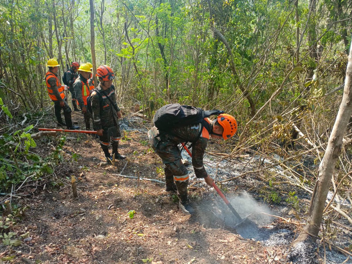 Primera Brigada de Infantería y Brigada Humanitaria y de Rescate del #EjércitoGT, efectúan acciones de supresión de incendio forestal, en Santa Elena de la Cruz, Flores, #Petén.