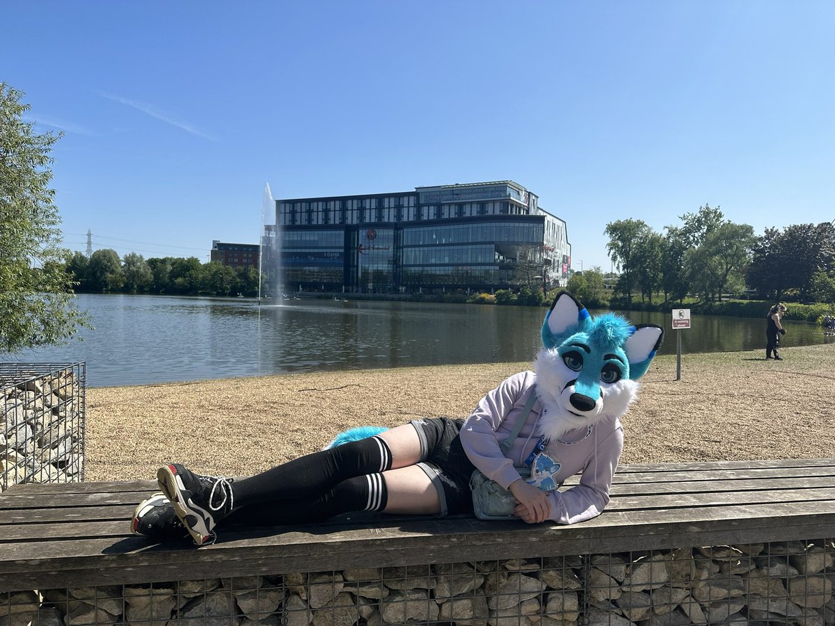 Only 3 weeks left until Confuzzled! Who will I be seeing there? :3

📷 @AsterTheSnep