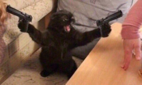 LissyTM_'s tweet image. If they did that to my car, I’d get to shooting