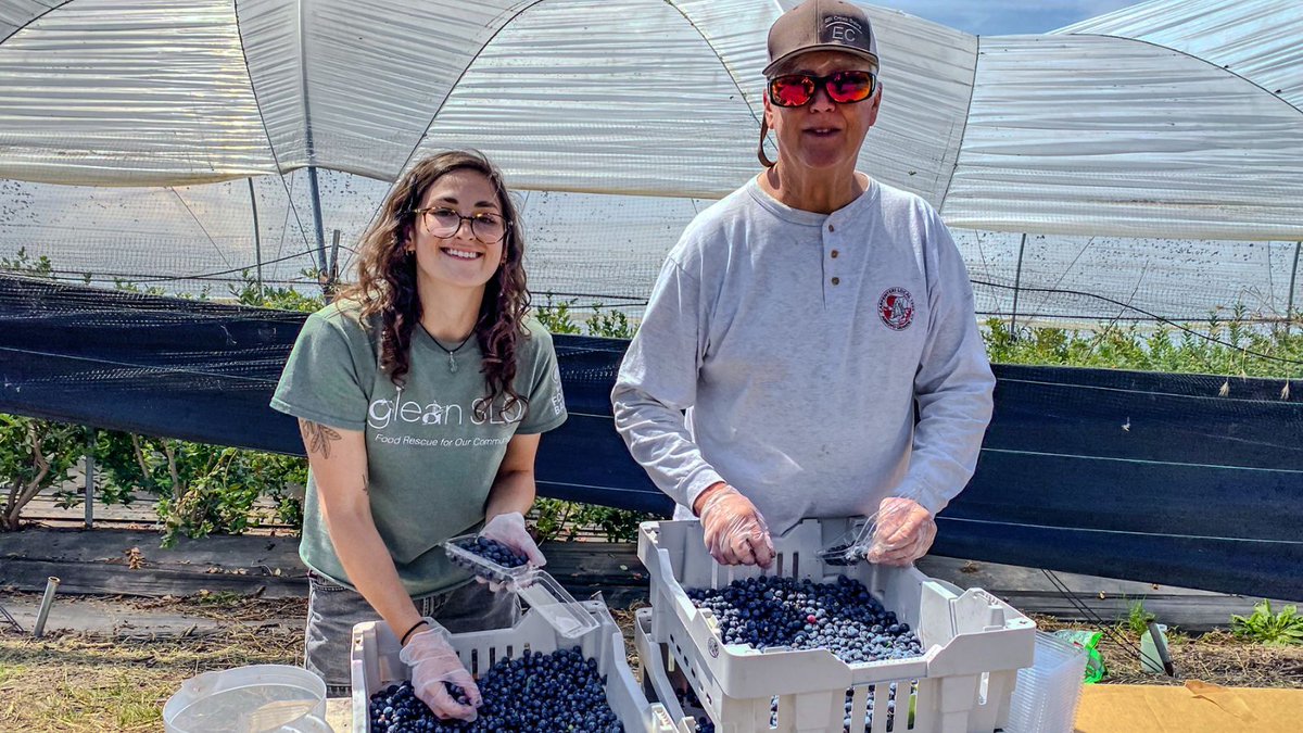 slofoodbank's tweet photo. Blueberries are loaded with antioxidants, particularly anthocyanins, which contribute to their vibrant color and offer numerous health benefits. 🫐✨ Find blueberries at a farmers market and stretch your #EBTbenefits with #MarketMatch. Find a market at https://t.co/S2H5gQ09RN. https://t.co/lk4ir3ImS9