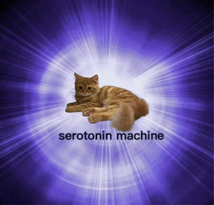 Show me your serotonin machine