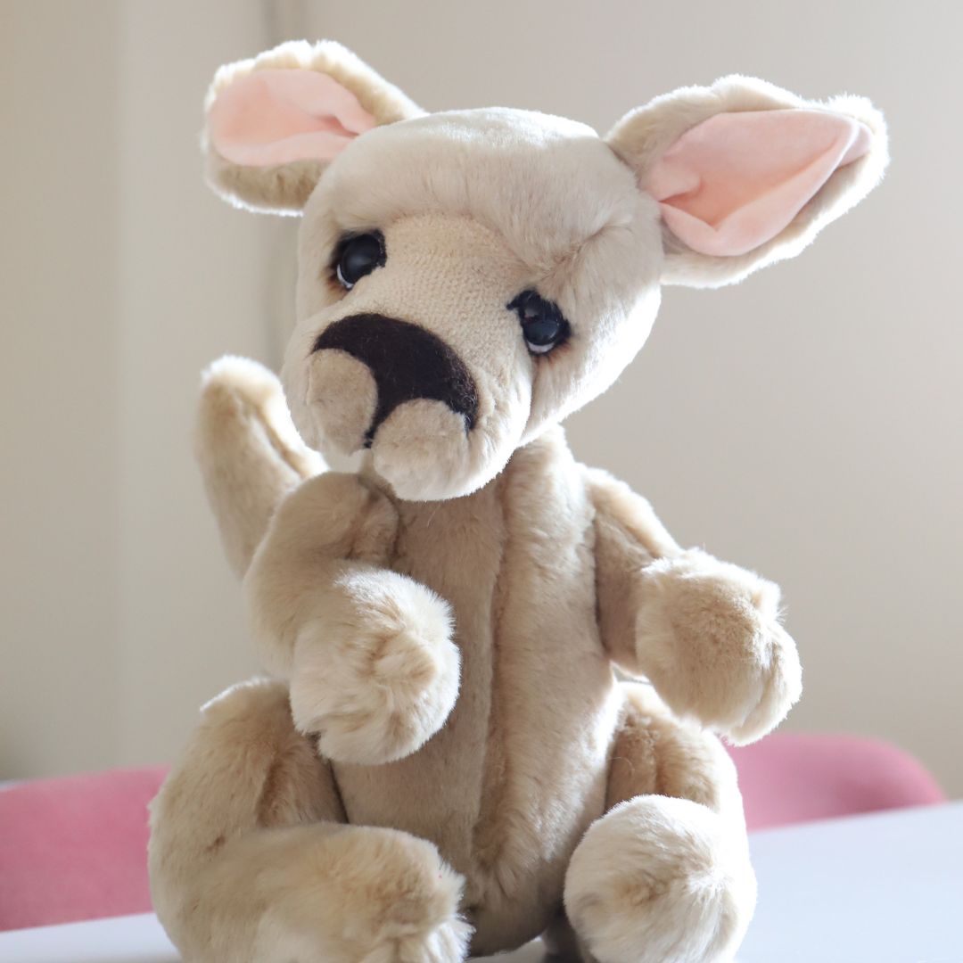 Ready to bounce around with Bonza the Kangaroo from Kaycee Bears! 🌿🦘

Available now: teddybearland.co.uk/kaycee-bears-b…

#KayceeBears #kayceebears #Collectables #CollectorsBears #Bears #CollectorsItems #teddybearland #LimitedEdition #teddybearcollector #teddybears #teddybearcollection