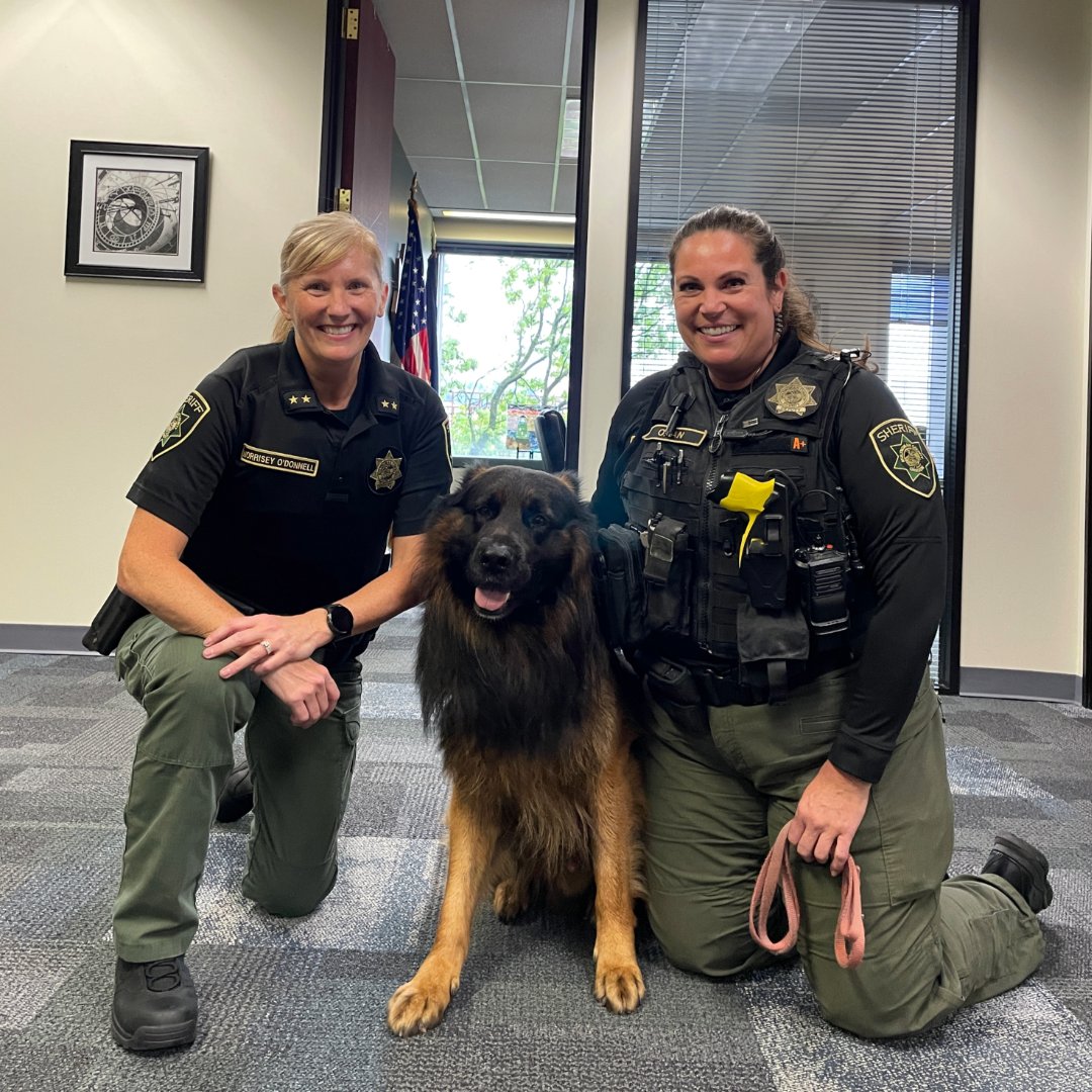 We are so excited to welcome Burton to MCSO! As a Comfort Dog, he will respond to calls with his handler to relieve stress and anxiety for families, community members and first responders, attend community events and be a support to our Law Enforcement Division. Welcome, Burton!