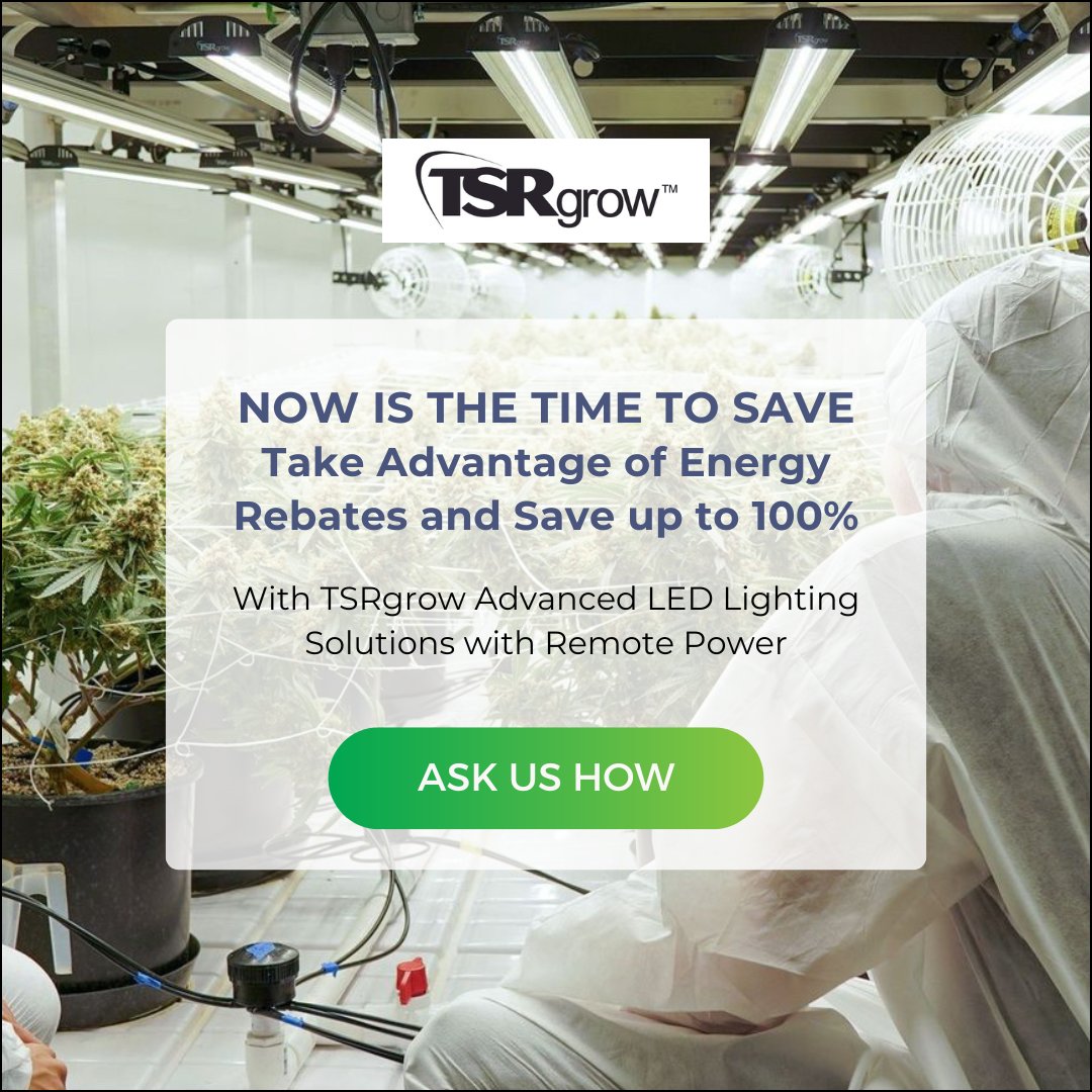Save big on our advanced LED lighting with energy rebates for commercial cultivators. Let TSRgrow help you navigate the rebate process and keep more money in your pocket. Contact today and ask us how. #energyrebates #savemoney #LEDlighting #tsrgrow