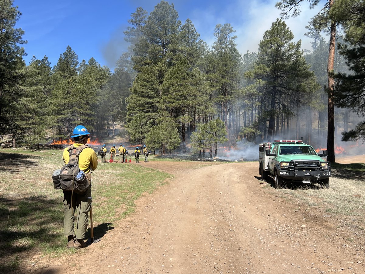 Blue Ridge Hotshots keep a watchful eye as ignitions begin on the lightning-caused Wolf Fire. 

Fire managers had planned to treat the area of the Wolf Fire with the Clints prescribed fire project scheduled for later this month. The goal is to treat roughly 2,000 acres of the…