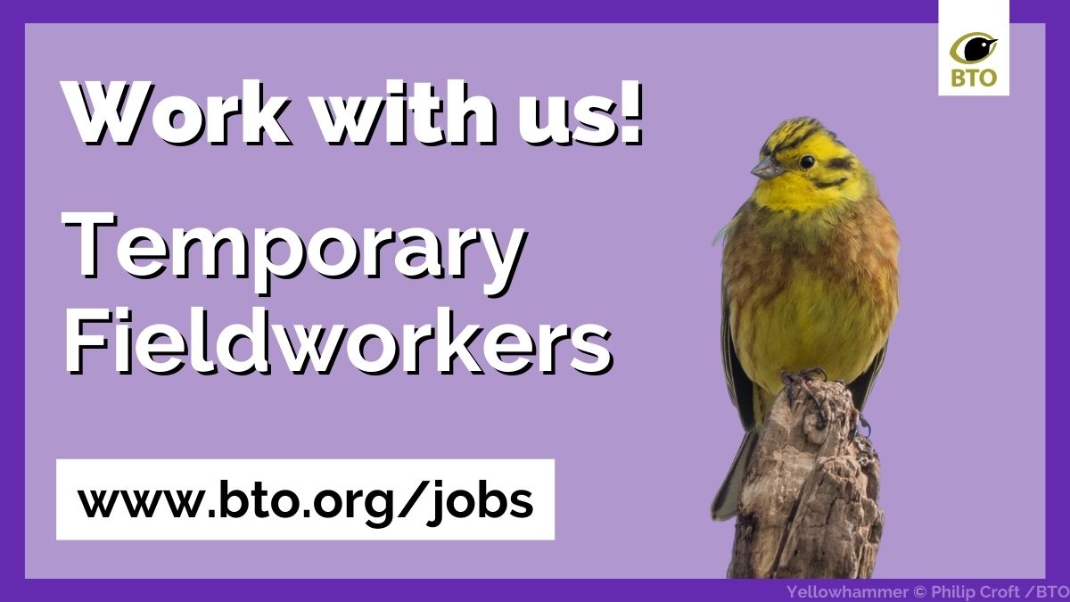Job opportunity📢 Are you based in Lincolnshire and able to conduct farmland bird surveys between April & June? We're looking for Temporary Fieldworkers with good farmland bird ID skills for a short-term contract. Discover more ➡️ bit.ly/3UE1zpS 📝Closing date: 10th May