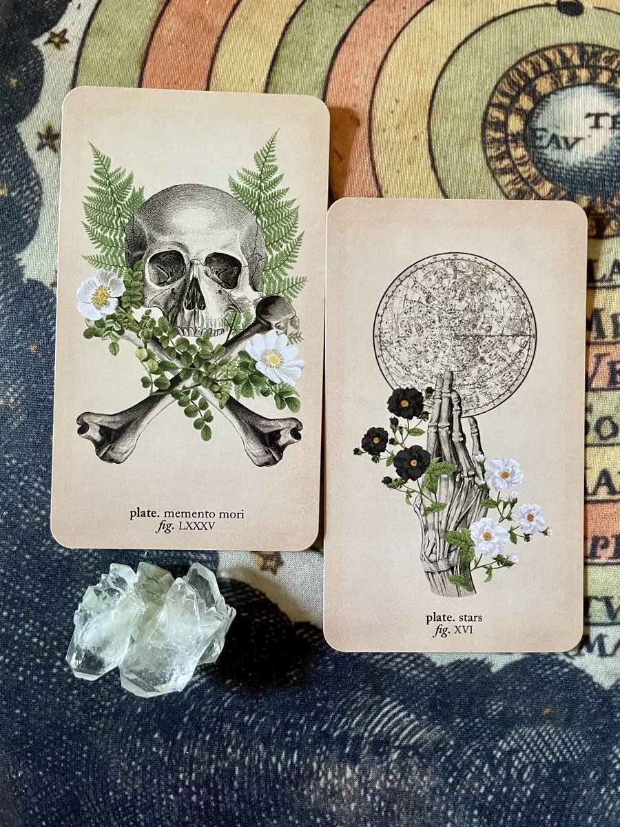 Cards of the moment: Remember, you must die… but also remember you have the map to the heavens within. Blessings on you. 🖤