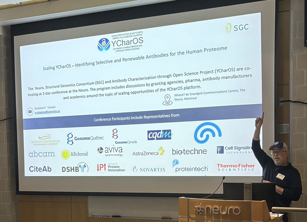 This was a very productive and enjoyable @YCharOS1  event last week in Montreal; antibody suppliers, researchers, funders, and data providers gathered to chart a path for more extensive #OpenScience  antibody characterization.