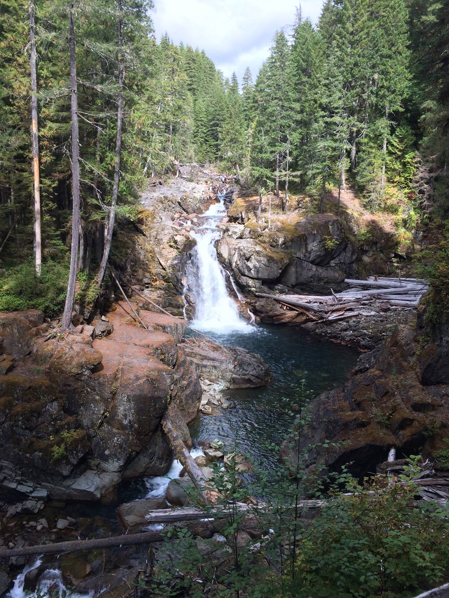 @LindaPeters64 @t_jh2009 #trlt a1 - Silver Falls enroute to Mt. Rainier is a fav. A nice 3 mile loop, and then you can expand to longer hikes if you'd like!