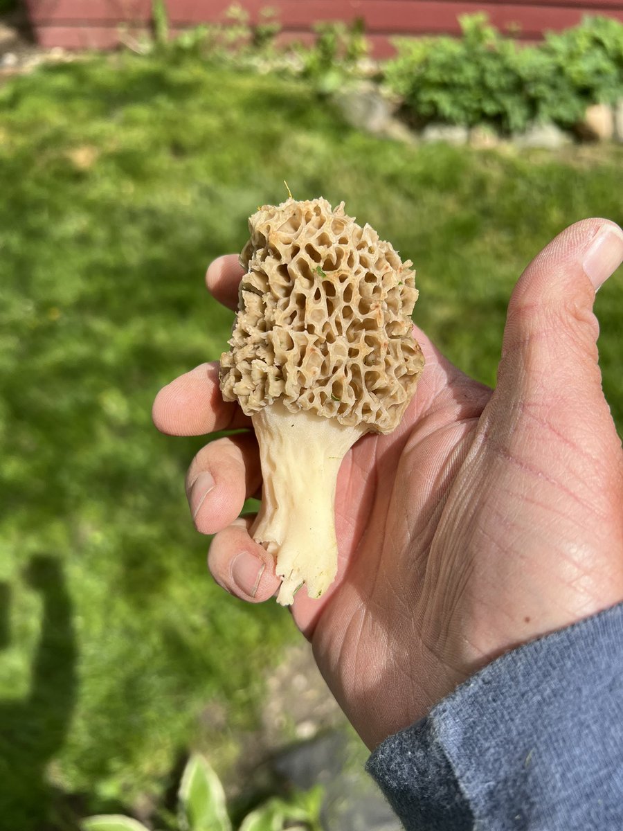 Found some yellers y’all