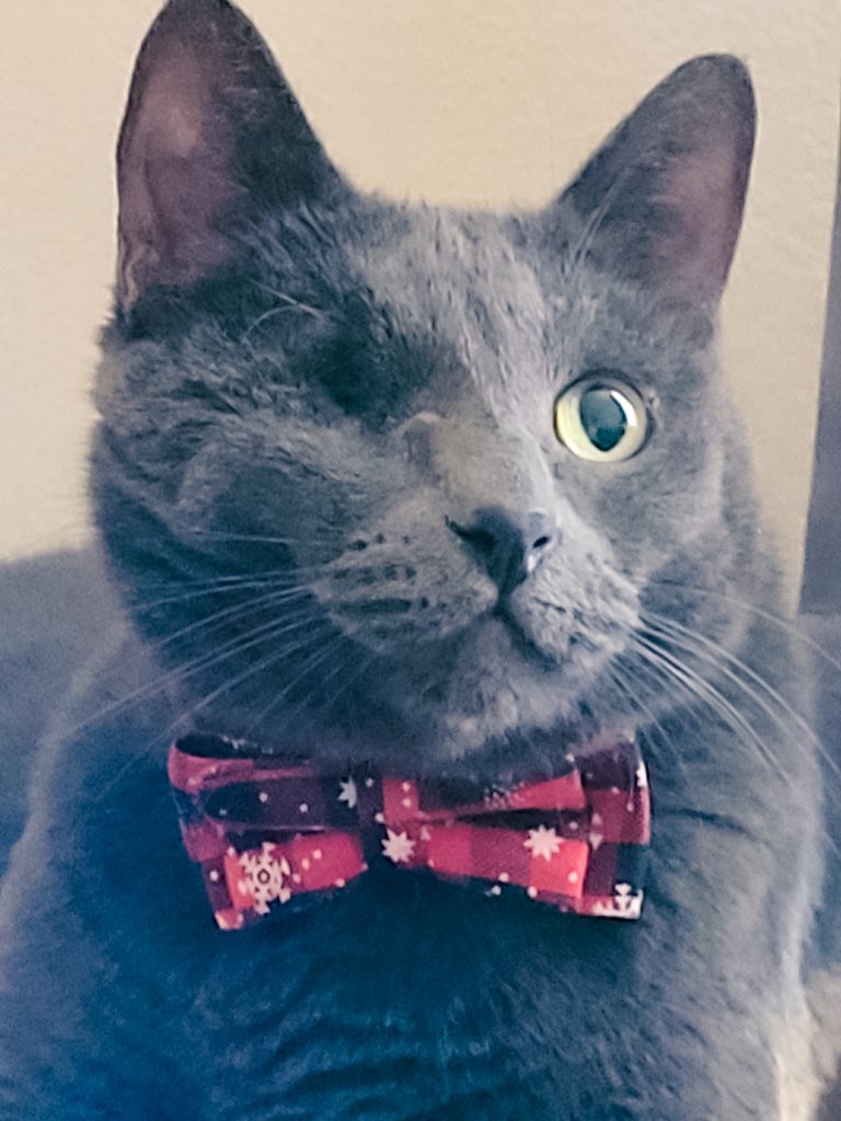 Carl looking dapper for a Christmas card shoot last year.