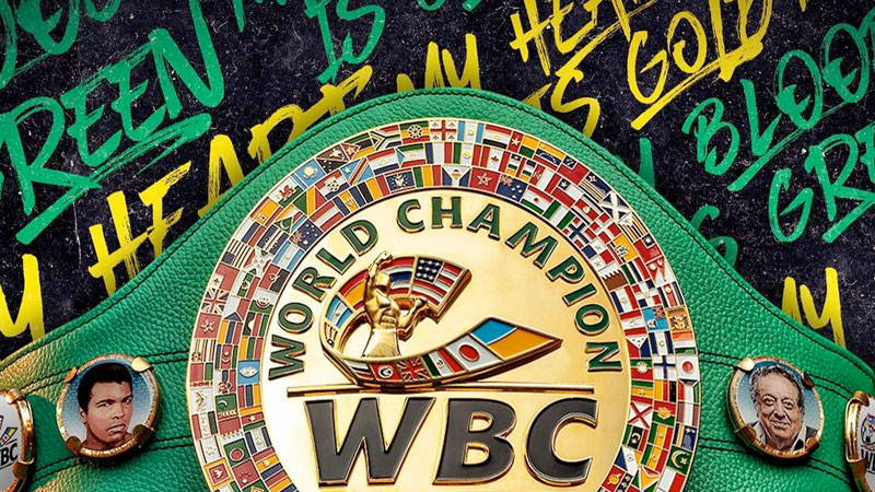 Great WBC activities in April 2024. wbcboxing.com/en/great-wbc-a…