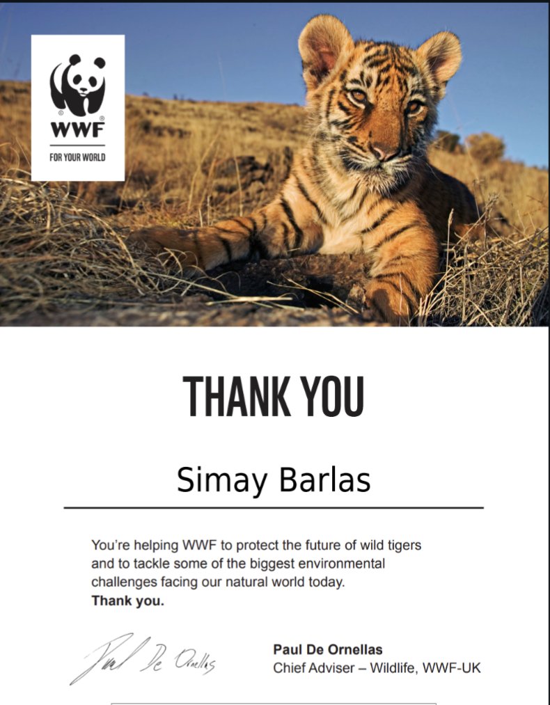 Simay Barlas English Page ♦️ (@barlasfans) on Twitter photo Thrilled to announce that for <a href="/simaybarlass/">Simay Barlas</a>' birthday, I've made two adoptions with wildlife charities Proud to support <a href="/BornFreeFDN/">Born Free Foundation</a> by adopting Elsa's lion pride and <a href="/WWF/">WWF</a> by adopting a tiger. Here's to Simay's special day and giving back to our wild friends #Simaybarlas 🐯🦁 Thrilled to announce that for <a href="/simaybarlass/">Simay Barlas</a>' birthday, I've made two adoptions with wildlife charities Proud to support <a href="/BornFreeFDN/">Born Free Foundation</a> by adopting Elsa's lion pride and <a href="/WWF/">WWF</a> by adopting a tiger. Here's to Simay's special day and giving back to our wild friends #Simaybarlas 🐯🦁