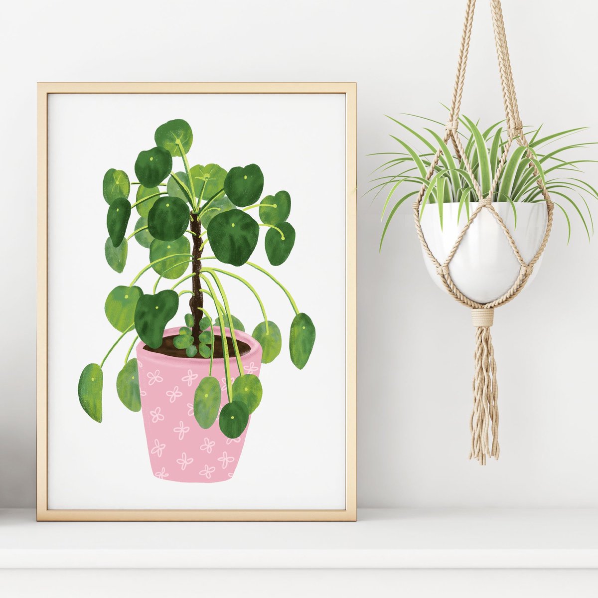 Chinese Money Plant Art Print available in various sizes.
#artprintsforsale #wallart

sarahwillustration.etsy.com/listing/715806…
