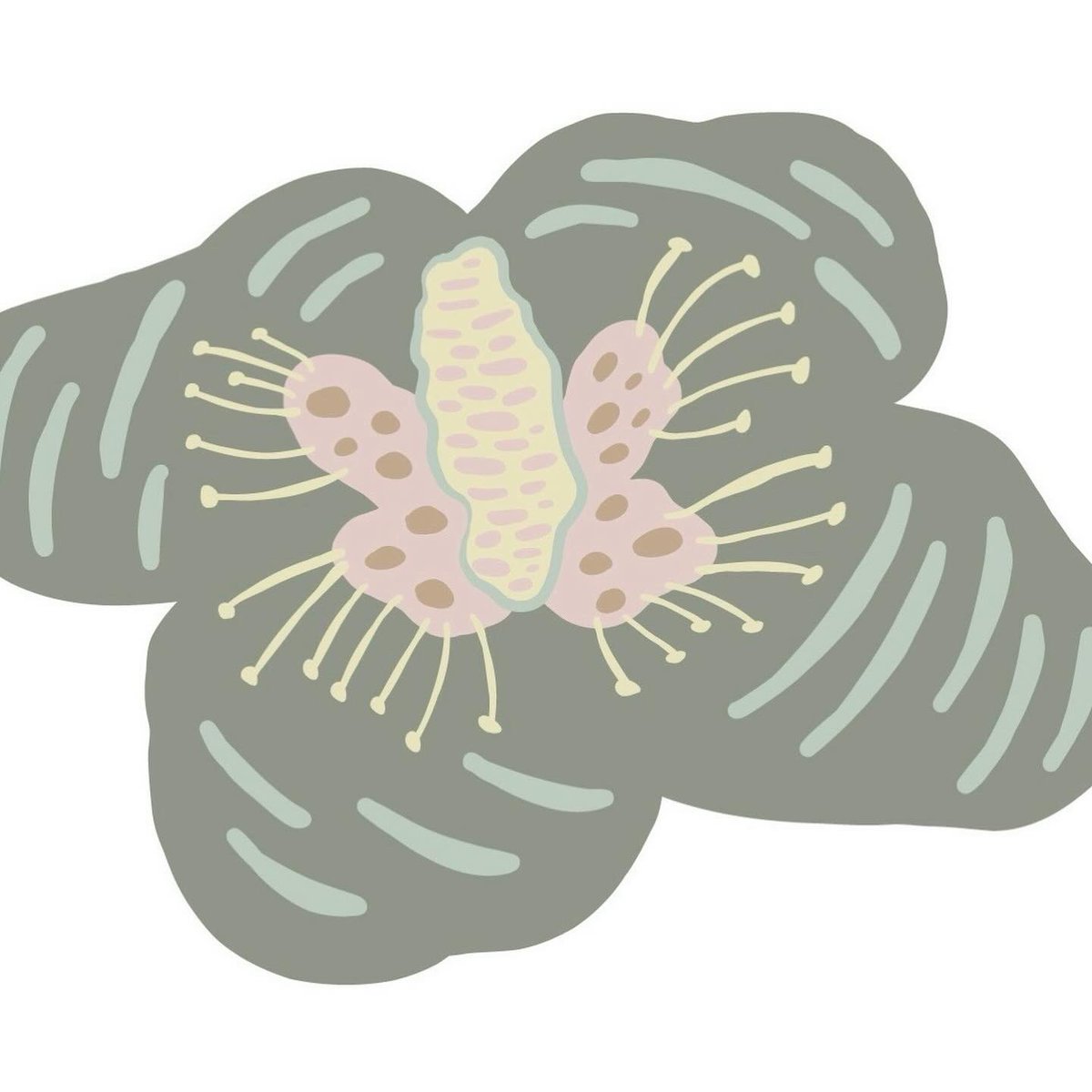 Sunny morning (no paint) in front of the bus I’ve painted for <a href="/school_ws/">WIlliamStockton</a>. Scroll to see one of the hibiscus flowers I drew in <a href="/Adobe/">Adobe</a> Illustrator for the design.

#mural #busmural #send #eyfs #artwork #nikkipinderart #nikkipinder #leaves #flowers #artclassroom #williamstockton