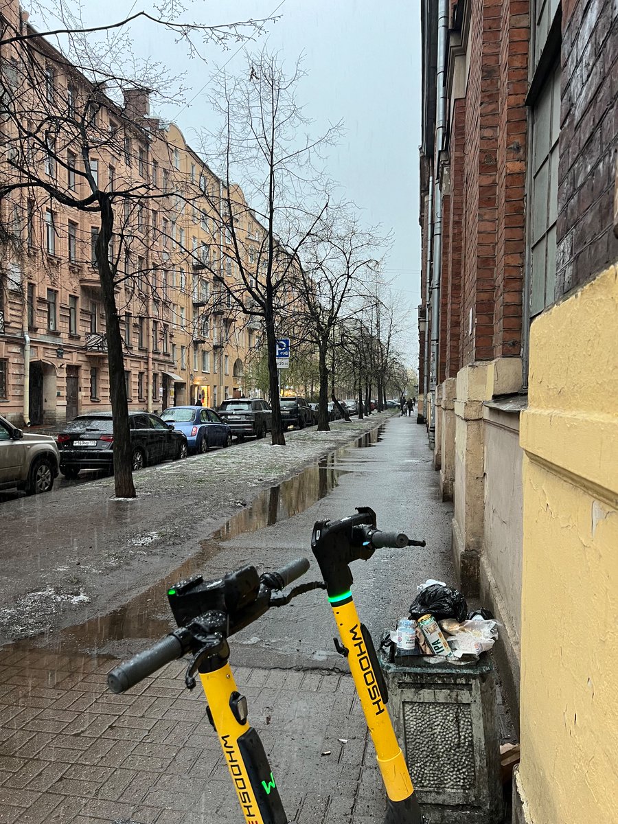 kochanoff's tweet photo. Снег в начале мая становится уже доброй традицией
@Wild_SPb https://t.co/uKTt6rImFv