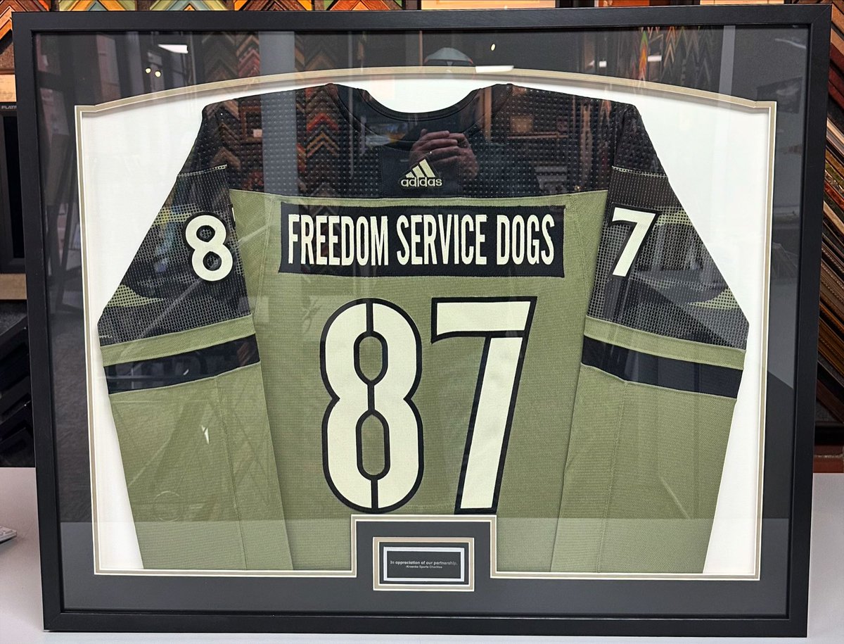 🏒 #GoAvsGo! We’re honored to have framed this @Avalanche jerseyfor Freedom Service Dogs! Good luck to the Avalanche against the Stars starting tonight! #5280customframing #jerseyframing #sportsframing #avalanche #freedomservicedogs #nhl @BallArenaDenver @truvueglazing