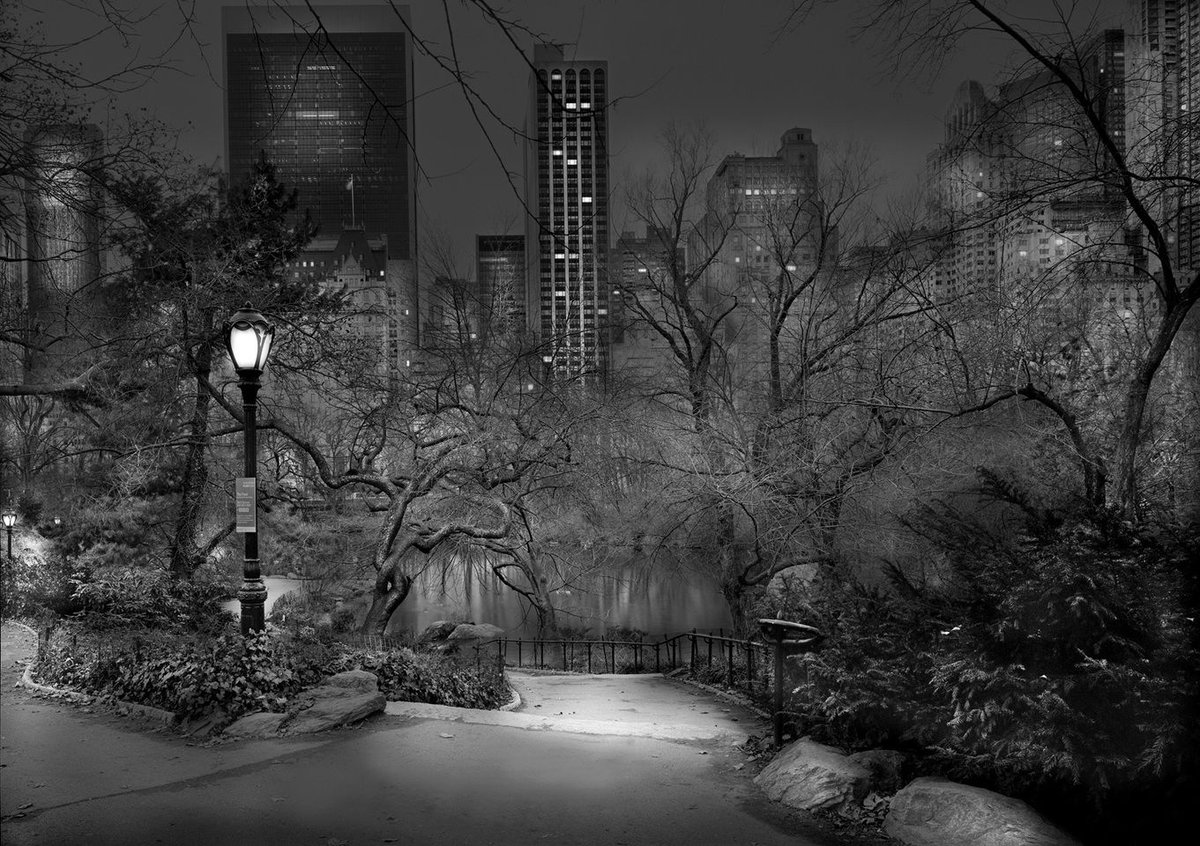 Michael Massaia - 📷 Central Park - New York