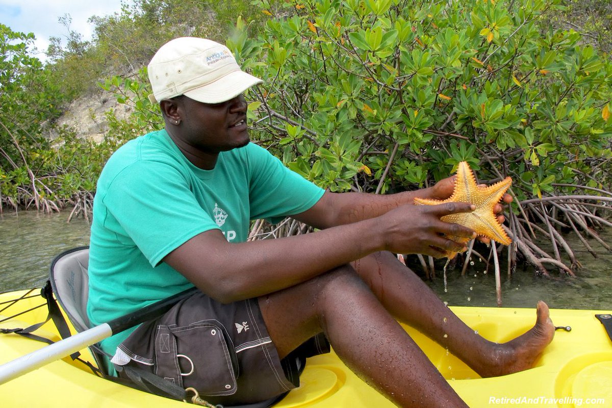 A3 Paddling around in rivers in Antigua was a great way to see the sights up close. retiredandtravelling.com/antigua-caribb… #TRLT @antiguabarbuda @antigua @AntiguaPaddles @CharlesMcCool