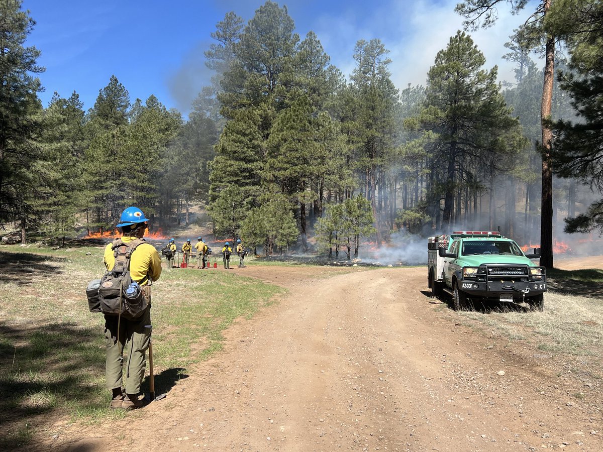 The Blue Ridge Hotshots implementing firing Ops on the Wolf Fire in Arizona. 
#wildfire #azfire 
According to the Coconino National Forest, the plan is to burn 2,000 acres over today and tomorrow. Flagstaff Hotshots are also on the incident helping to fill in the box. 

Solid…