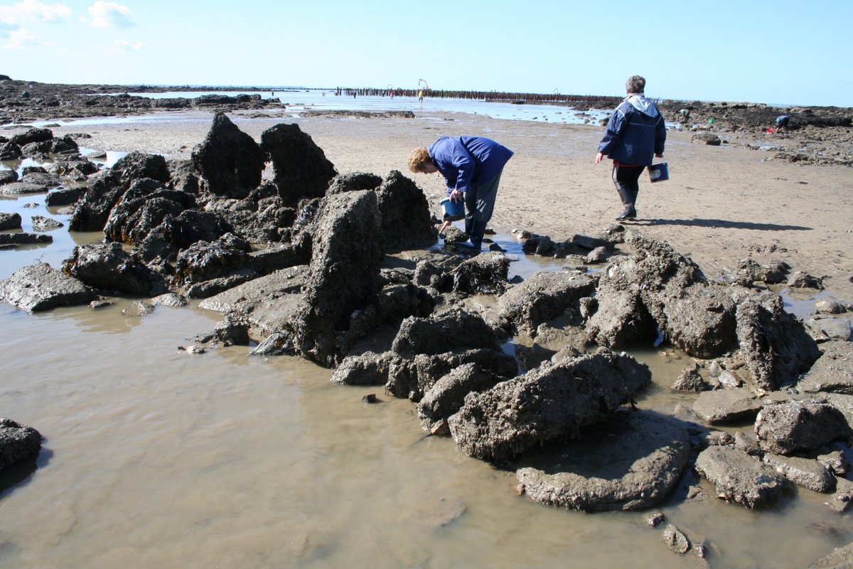 Call for PhD HORIZON MSCA Doctoral Network - ArCHe DC5: 'For a history of maritime techniques in Europe: Norms and uses of techniques in prehistoric coastal communities' arche.uio.no/vacancies/dc5.… So proud to host a synthesis of past fishing techniqes in the @CReAAH_UMR6566 @CNRS