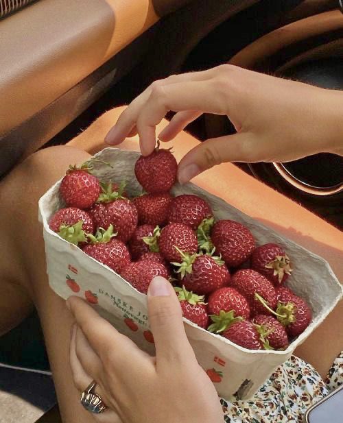 strawberry picking 🍓