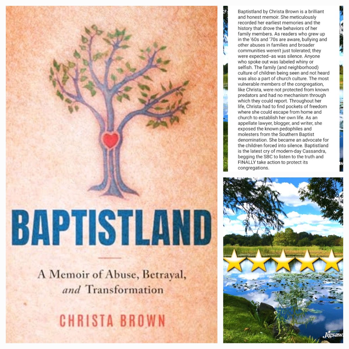 Baptistland by Christa Brown is a brilliant and honest memoir. She meticulously recorded her earliest memories and the history that drove the behaviors of her family members. As readers who grew up in the '60s and '70s are aware, bullying and other abuses in