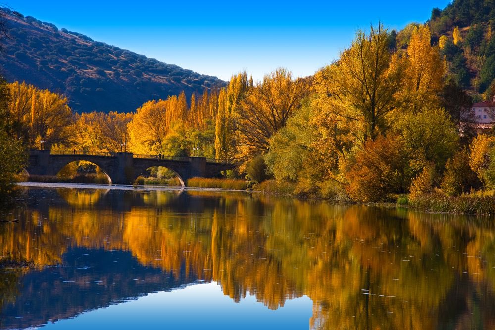 Landscapes of Soria, one of the most depopulated provinces in Spain. In little more than a century, Soria has lost 40% of its population. Its population density is 9 people per square kilometer, ten times less than the Spanish average.