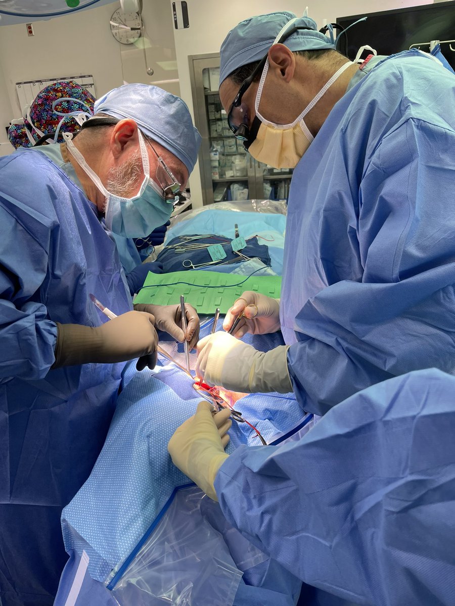 Mentorship is an invaluable gift in one’s career.  Today I had the privilege to scrub on Jeff Carpenter’s last case 🥹( CEA).  A master surgeon and friend. His impact on me and my career cannot be overstated. 

Who was that mentor for you ?    #aortaed. @BavariaMd  @FrankCaputoMD