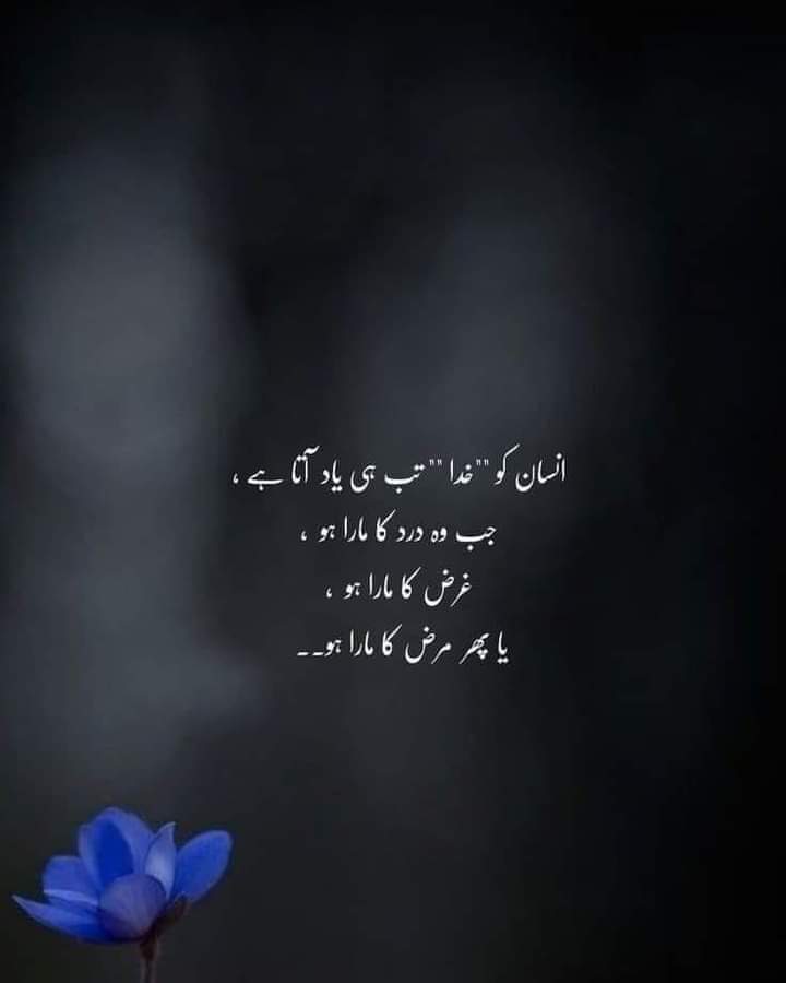 ali149056's tweet photo. Assalam alaikum good night 🌃 https://t.co/IO1qtuHFq4
