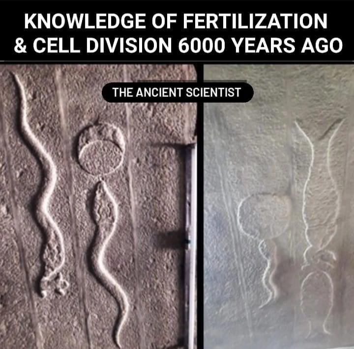 Ancient Science  

The images of fertilization below are from Varamurtheeswarar temple at Ariyathurai, Tamilnadu. The temple is 6000 years old.

 Brief History of  Varamurtheeswarar 

This temple is located on the banks of river Arani, which is also called as Brahmaaranya…