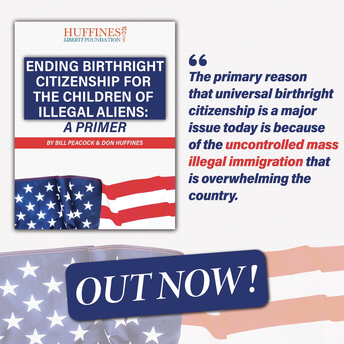 Ending Birthright Citizenship for Children of Illegal Aliens OUT NOW! Read at EndBirthrightCitizenship.com