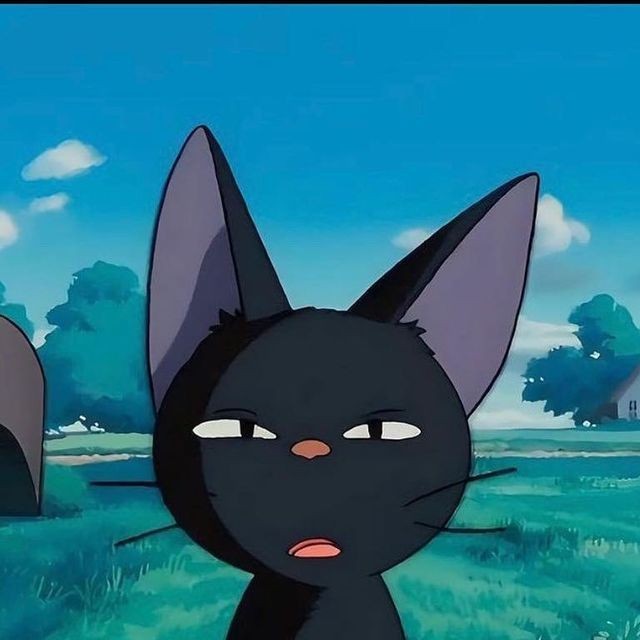 SUFI177's tweet photo. Cat mood 🐈‍⬛. https://t.co/g4CjFYJ6ro