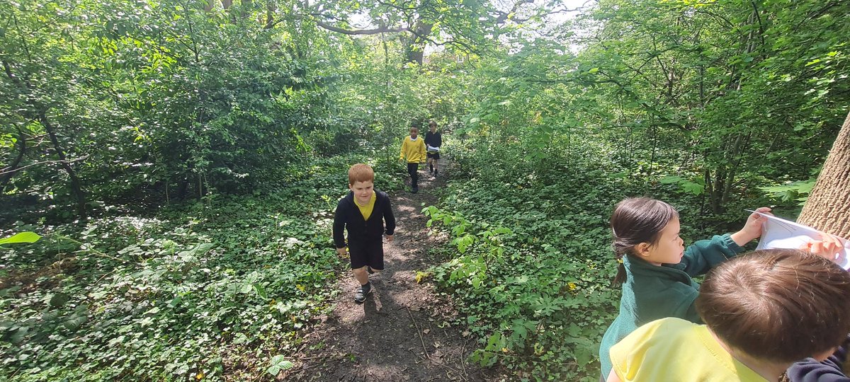 In science today we were learning about human planted and wild plants. Then we went on a adventure to bushey manors nature woodland to see what different plants and flowers we could find there!