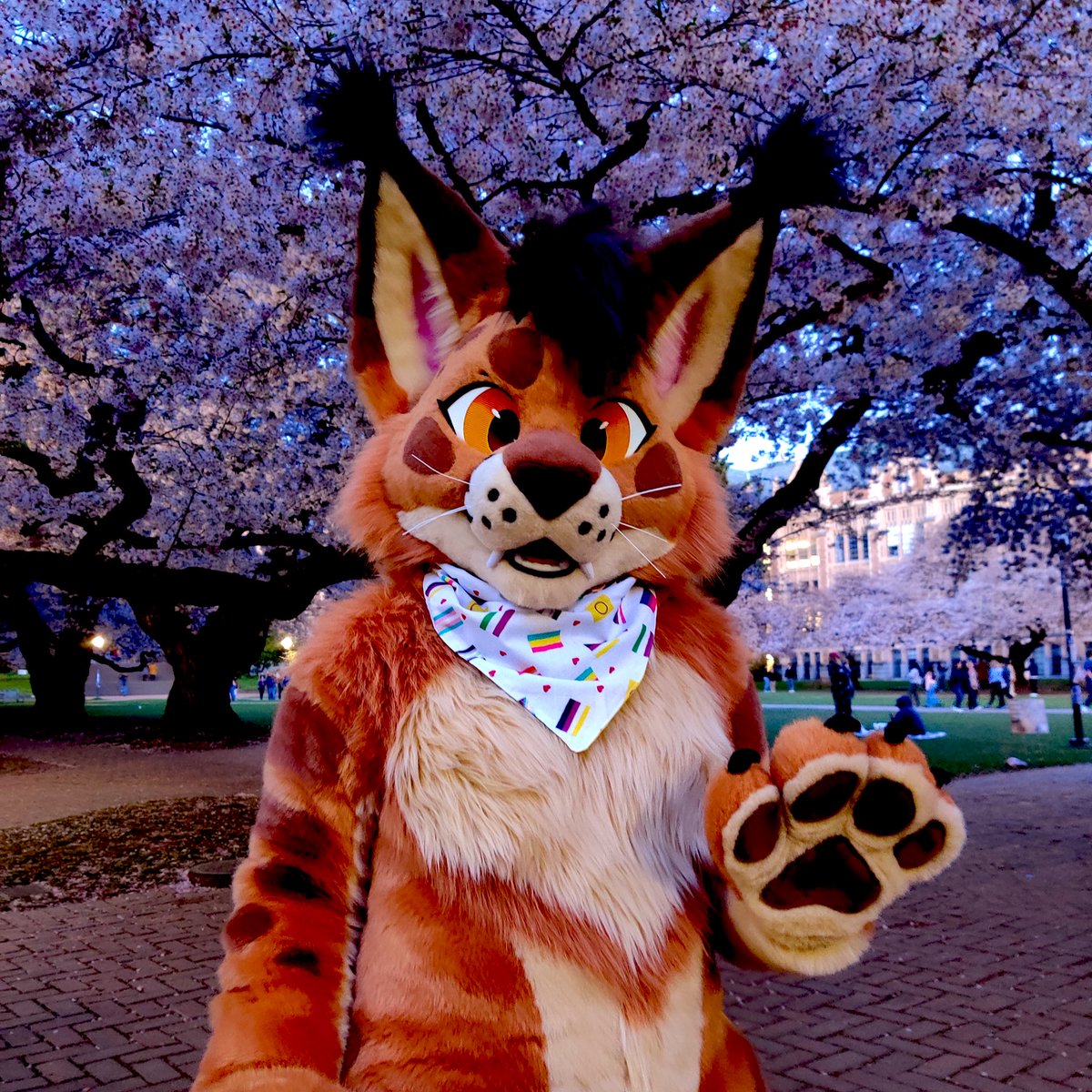 Want to find me at FWA? #FWA2024 Good luck. I'm quick and small. 👀 . . . . . . . . . . . Don't be mean to me or my handler. Please. I will be there to vibe. 😭 🪡💕 @Zuri_Studios